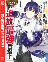 【期間限定 無料お試し版】味方が弱すぎて補助魔法に徹していた宮廷魔法師、追放されて最強を目指す(1)