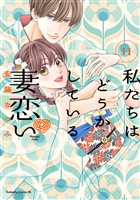 私たちはどうかしている　妻恋い　分冊版（１１）