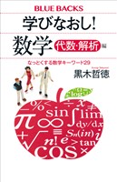 学びなおし! 数学 代数・解析編 なっとくする数学キーワード29