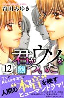 君がウソをついた　プチデザ（１２）