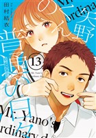 矢野くんの普通の日々（１３）