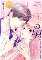 至極の男～もう一度愛される夜［ｃｏｍｉｃ　ｔｉｎｔ］　分冊版（１５）