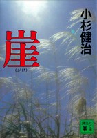 崖