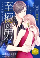 至極の男～もう一度愛される夜［ｃｏｍｉｃ　ｔｉｎｔ］　分冊版（１７）