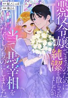 【期間限定 試し読み増量版】悪役令嬢ざまぁのために純潔を散らされましたが、当て馬宰相をわたくしのものにしました
