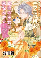 隣国に輿入れした王女付きモフモフ侍女ですが、本当の王女は私なんです　分冊版（１０）　～立場と声を奪われましたが、命の危機に晒されているので傍観します～