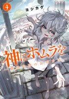 神にホムラを ―最終定理の証明方法―(4)