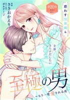 至極の男～もう一度愛される夜［ｃｏｍｉｃ　ｔｉｎｔ］　分冊版（２０）