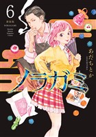 ノラガミ　新装版（６）