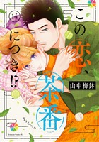 この恋、茶番につき！？（１４）