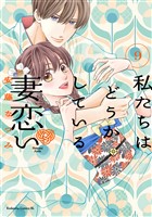 私たちはどうかしている　妻恋い　分冊版（９）