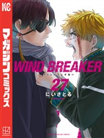 ＷＩＮＤ　ＢＲＥＡＫＥＲ（２７）