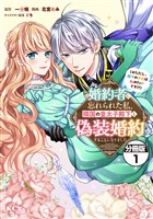 婚約者に忘れられた私、隣国の皇太子殿下と偽装婚約することになりました（※ただし、殿下の本命は私みたいです！？）　分冊版（１）
