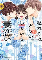 私たちはどうかしている　妻恋い　分冊版（１７）