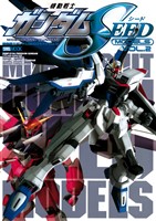 機動戦士ガンダムSEEDモデル Vol.2