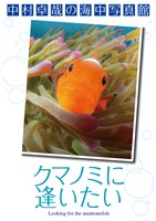 中村卓哉の海中写真館 クマノミに逢いたい