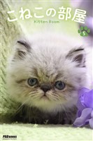 こねこの部屋 5