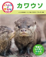 くらべてみよう！どうぶつの赤ちゃん　２３　カワウソ