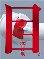 目が