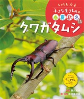 しゃしん絵本 小さな生きものの春夏秋冬 クワガタムシ