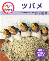 くらべてみよう!どうぶつの赤ちゃん 25 ツバメ