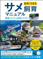 自宅でできる サメ飼育マニュアル 環境づくりから日常のケアまで