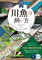 専門店が教える 川魚の飼い方 淡水魚の生態や多彩な魚種がよくわかる