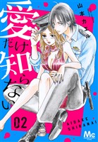 愛だけ知らない 2