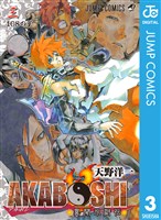 AKABOSHI―異聞水滸伝― 3
