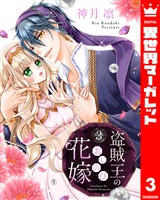 盗賊王のおしのび花嫁 3