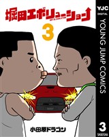 堀田エボリューション 3