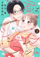 君はシンデレラフィット【期間限定無料】 3