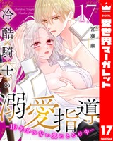 冷酷騎士の溺愛指導 -10年分の甘い愛にとろけ中- 17