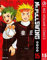 Mr.FULLSWING 15