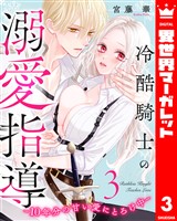 冷酷騎士の溺愛指導 -10年分の甘い愛にとろけ中- 3