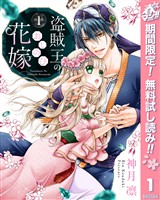 『盗賊王のおしのび花嫁【期間限定無料】 1』の電子書籍