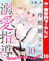 冷酷騎士の溺愛指導 -10年分の甘い愛にとろけ中- 10