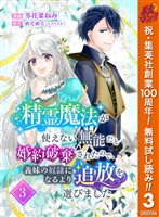 精霊魔法が使えない無能だと婚約破棄されたので、義妹の奴隷になるより追放を選びました【期間限定無料】 3