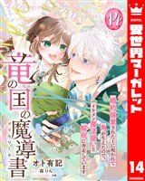竜の国の魔導書 ~婚約破棄された上に呪われて角が生えたので、イケメン魔法使いと解呪に奔走しています~ 14