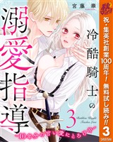 冷酷騎士の溺愛指導 -10年分の甘い愛にとろけ中-【期間限定無料】 3