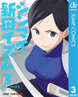 シンマイ新田イズム 3