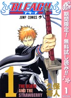『BLEACH モノクロ版【期間限定無料】 1』の電子書籍