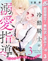 冷酷騎士の溺愛指導 -10年分の甘い愛にとろけ中-【期間限定無料】 3