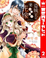 盗賊王のおしのび花嫁 2