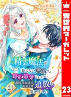 精霊魔法が使えない無能だと婚約破棄されたので、義妹の奴隷になるより追放を選びました 23
