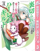 裏切られたSランク冒険者の俺は、愛する奴隷の彼女らと共に奴隷だけのハーレムギルドを作る【期間限定無料】 3