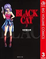 BLACK CAT 3