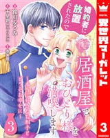 婚約者に放置されたので居酒屋でおひとり様を満喫します~本当に好きなお相手とどうぞお幸せに~ 3