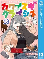 カワイスギクライシス 13