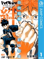 ハイキュー！！ キャラクターリミックス 絆 日向と影山 上